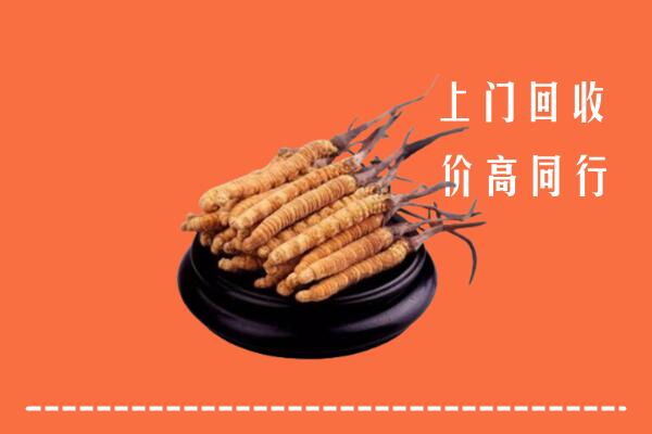 高价求购：聂拉木回收散虫草