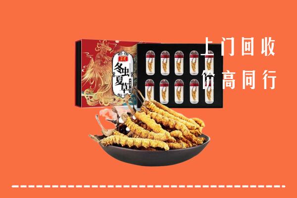 聂拉木回收虫草